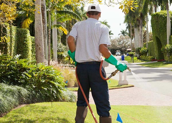 About Davenport VA Pest Control
